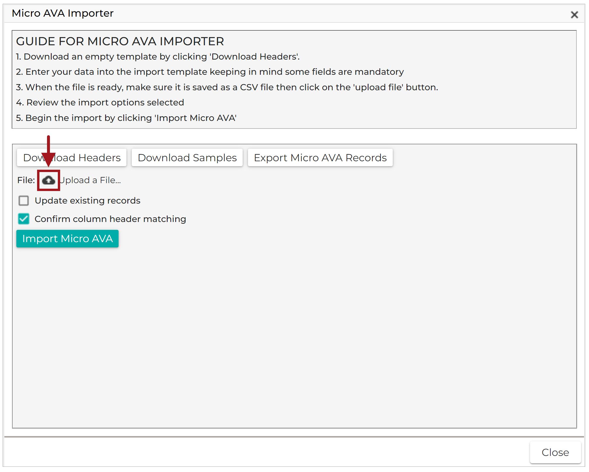 Micro_AVA_Importer_-_Upload_a_File_20220901.png