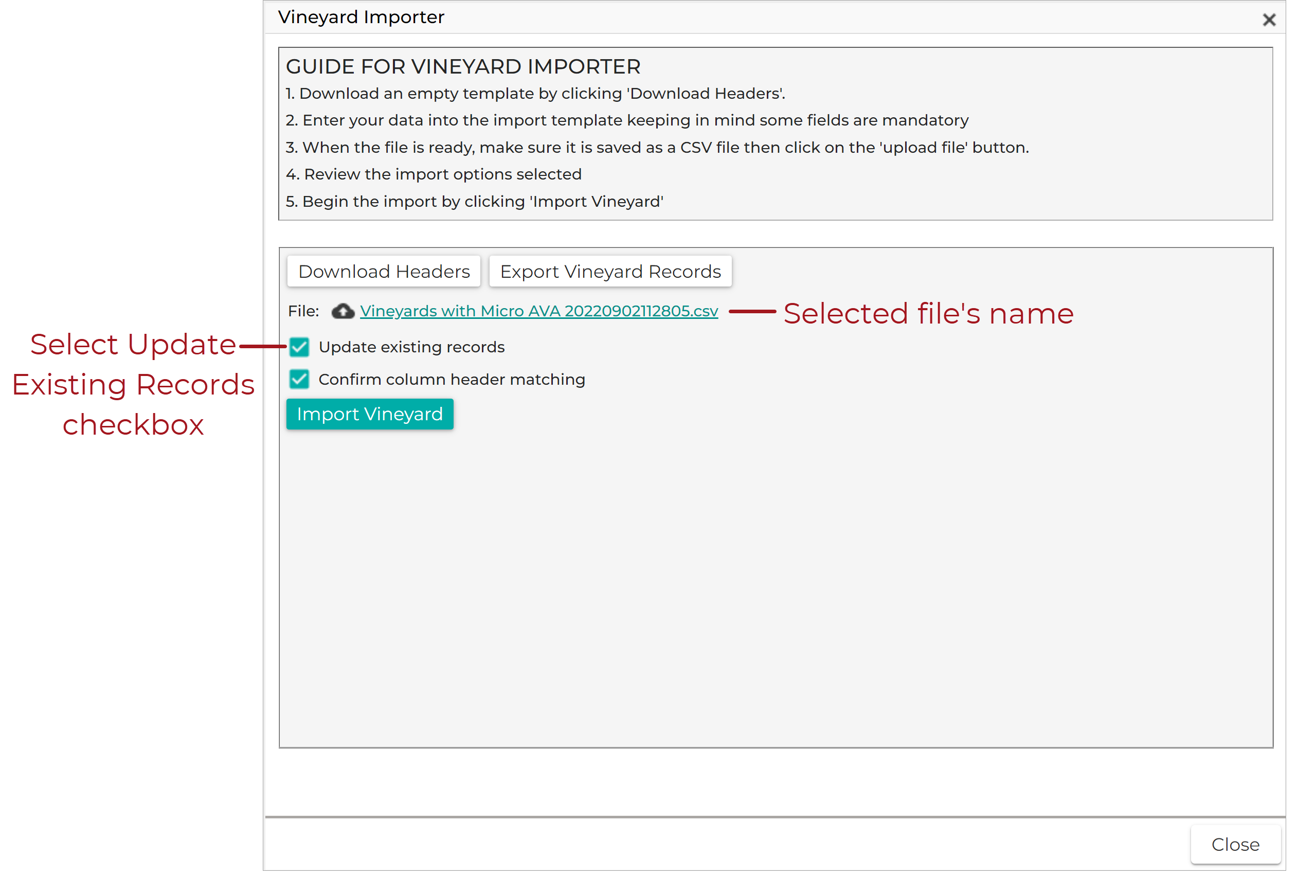 Vineyard_Importer_-_Update_Existing_-_File_Selected_20220902.png