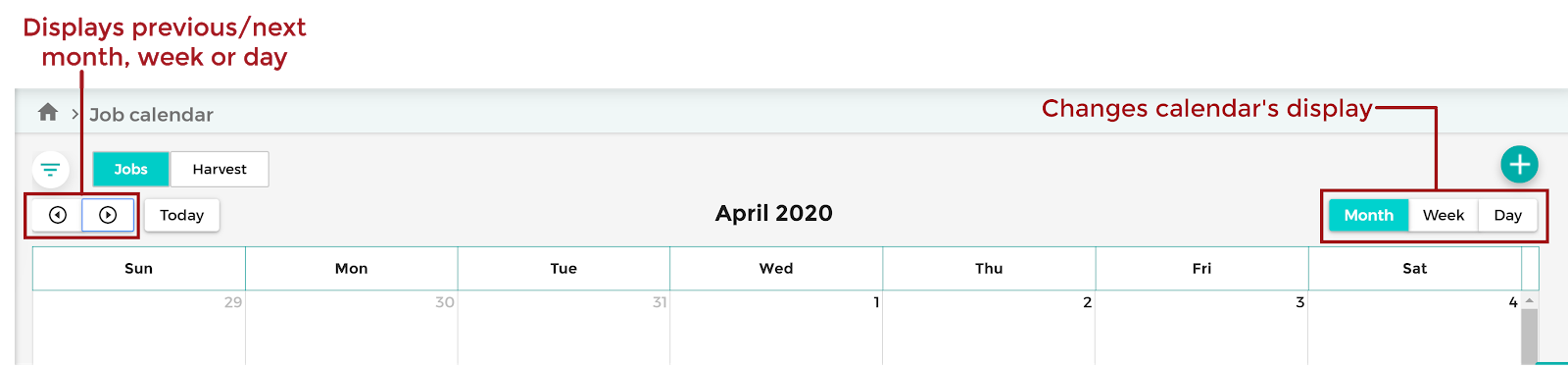 Display_Options_20200323.png