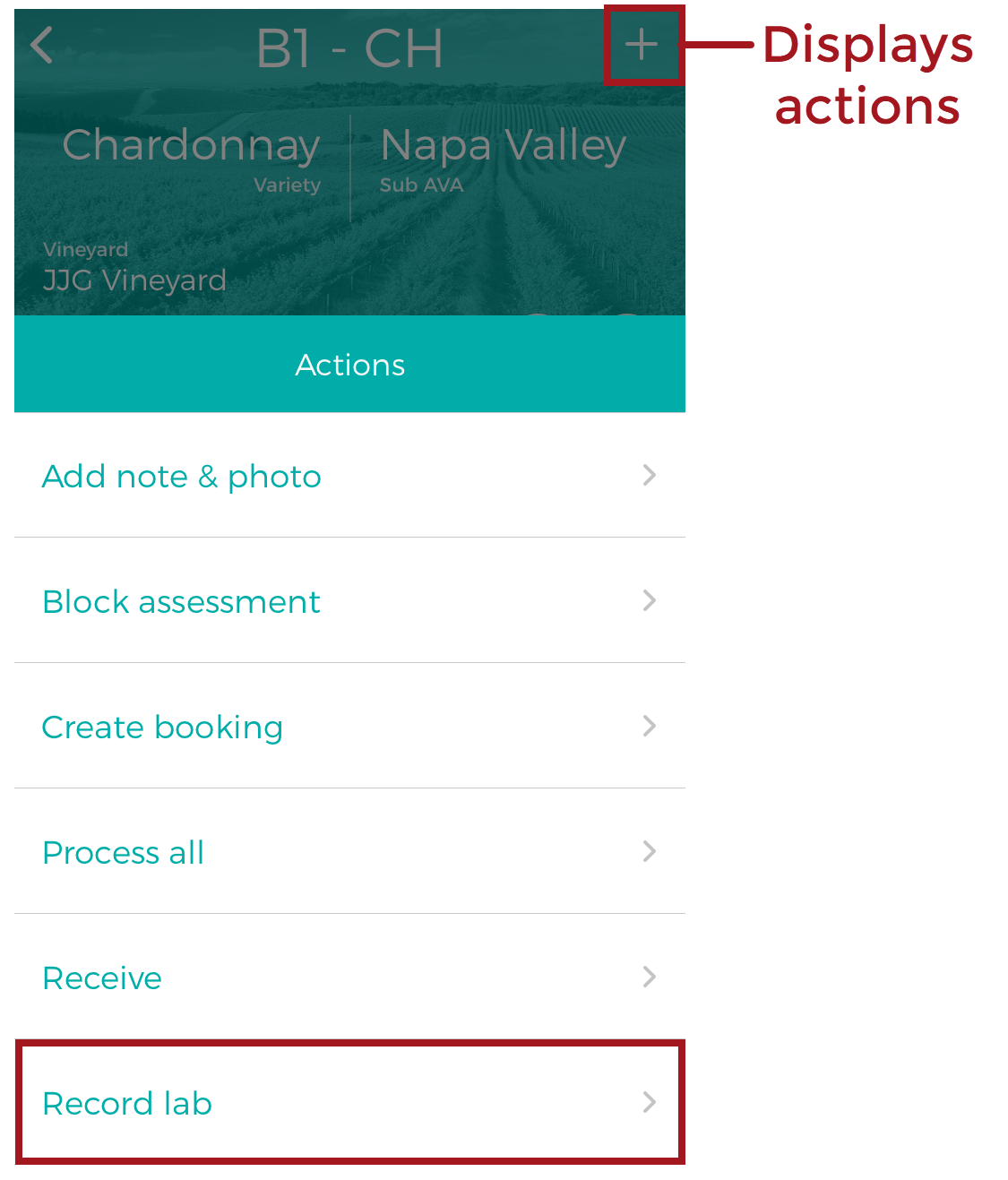 Actions_-_Record_Lab_20200914.png