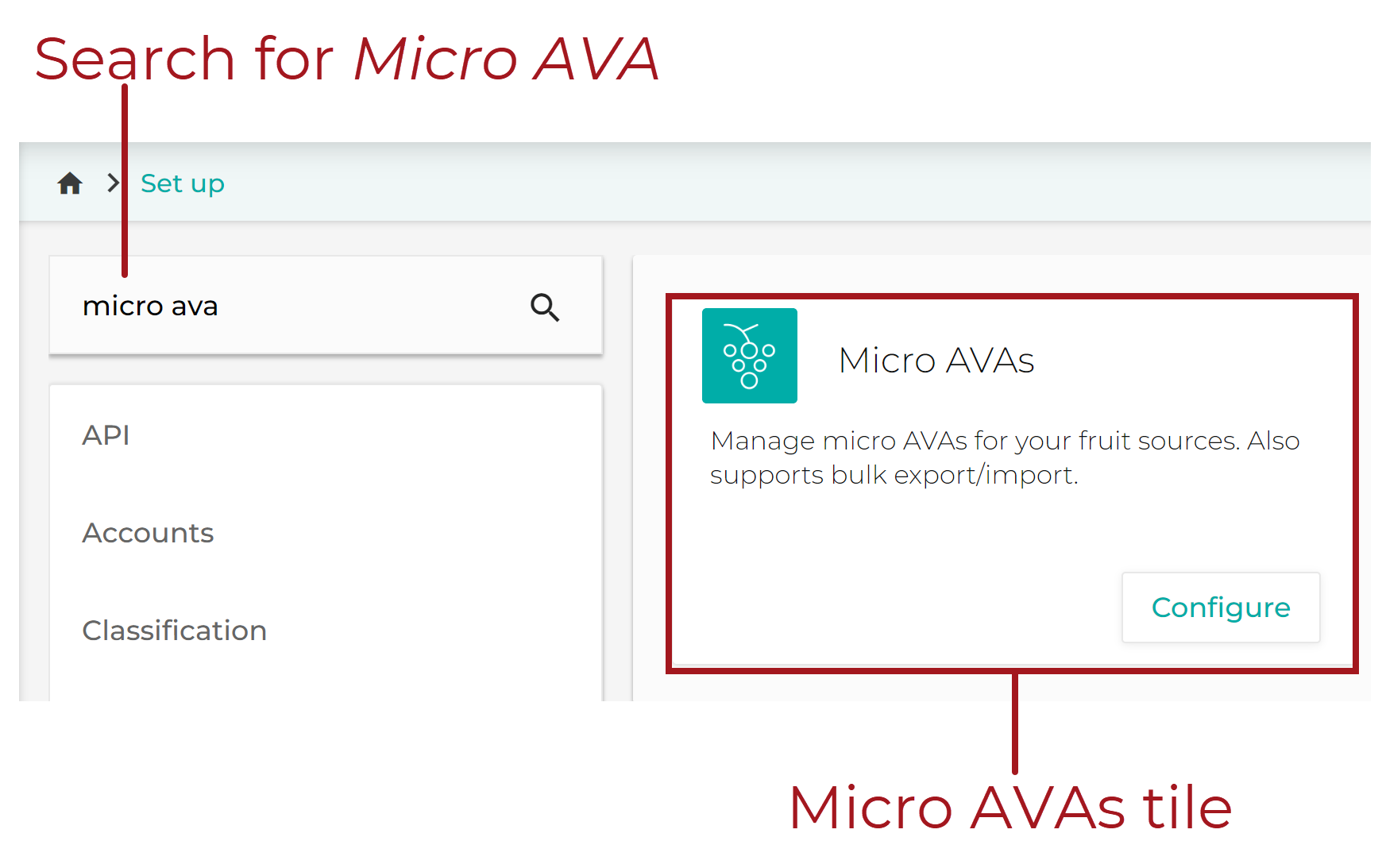 Set_Up_-_Micro_AVAs_Tile_20220722.png