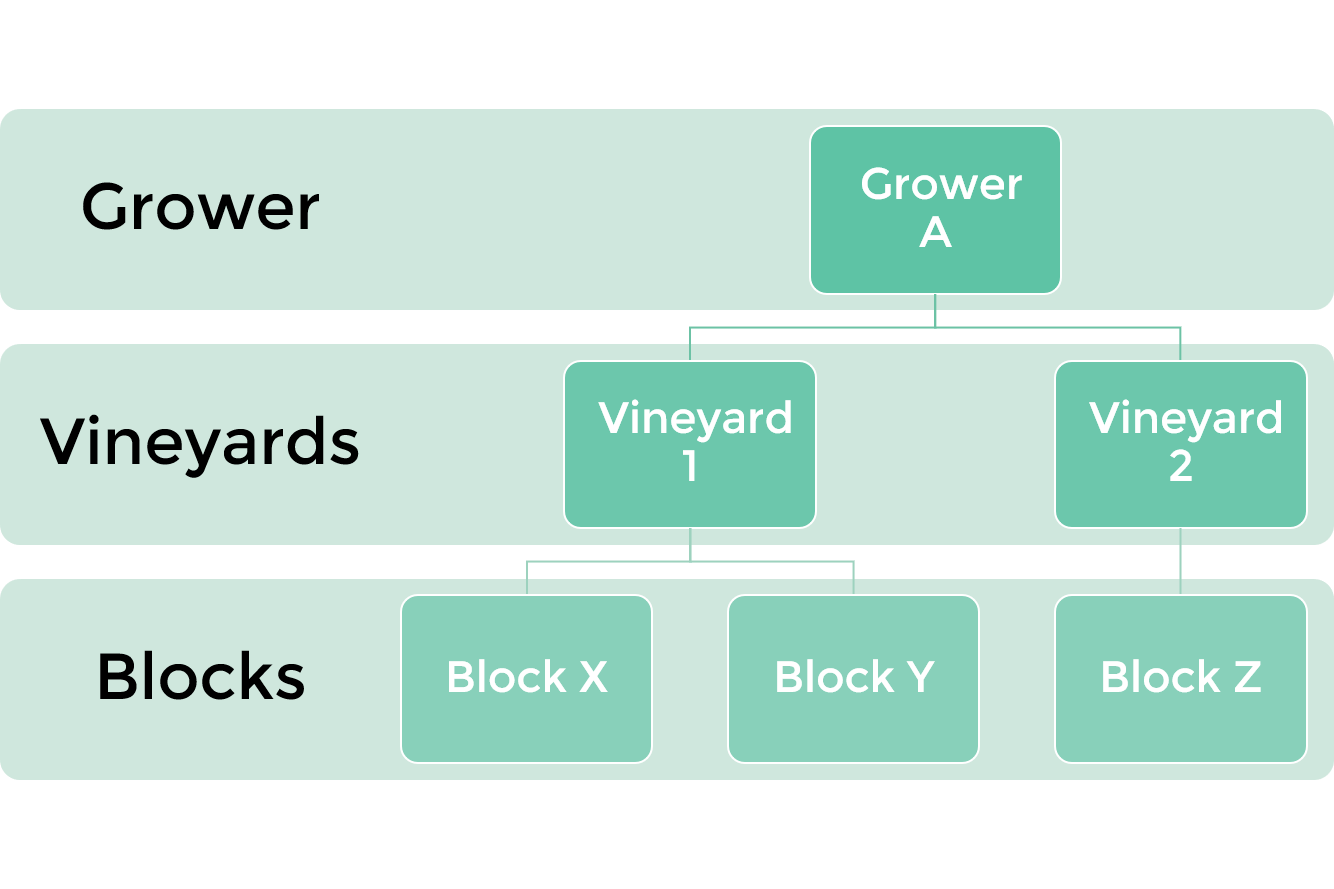 Diagram_-_Grower_Vineyard_Block_20200414.png
