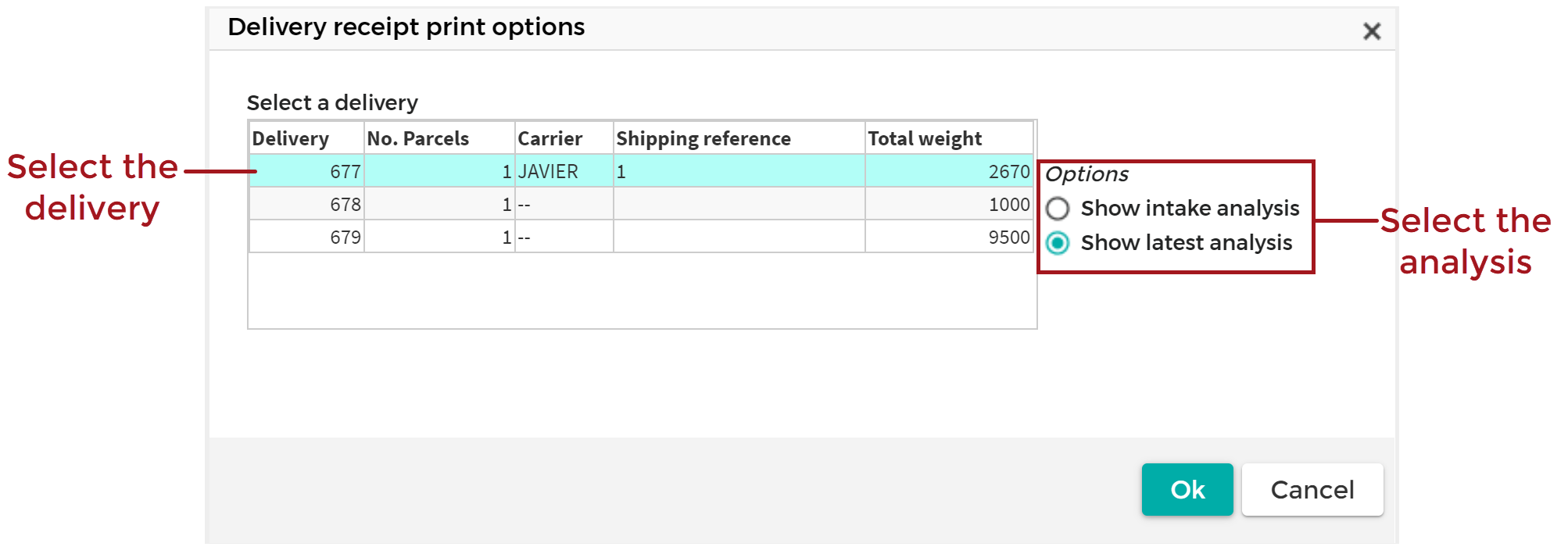 Delivery_Receipt_Print_Options_20200916.png
