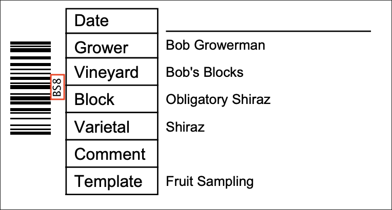 sample.code.png