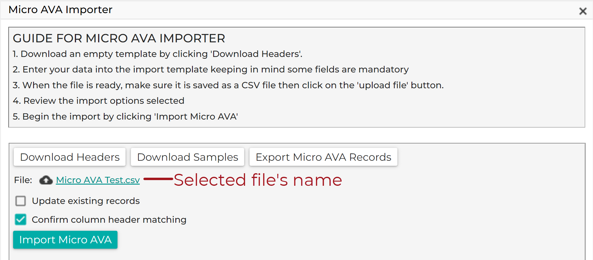 Micro_AVA_Importer_-_File_Selected_20220901.png